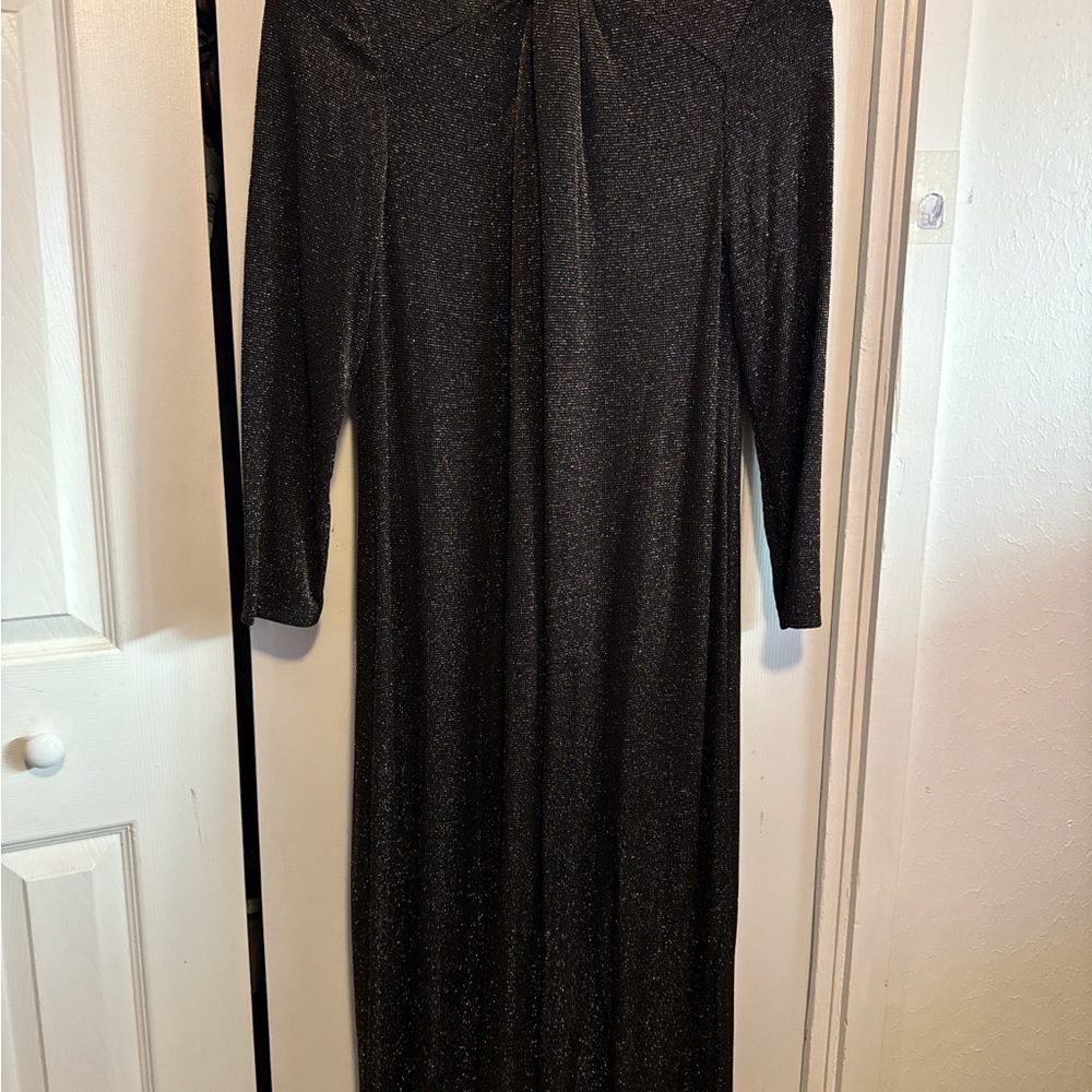 Anne Klein Shimmering Black Long Sleeve Dress